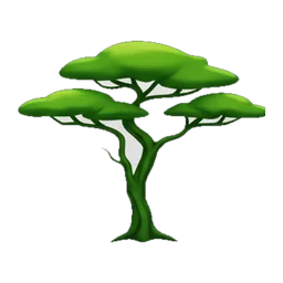 Acacia