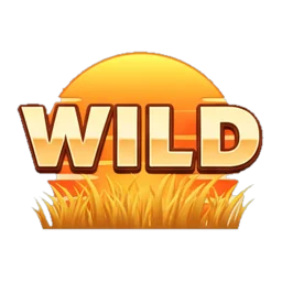 Sunset wild